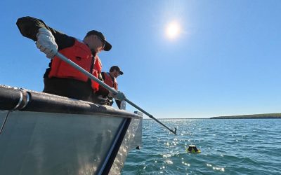 Most Wave Watch buoys pulled for 2026 boating season, planning for 2027 and beyond begins