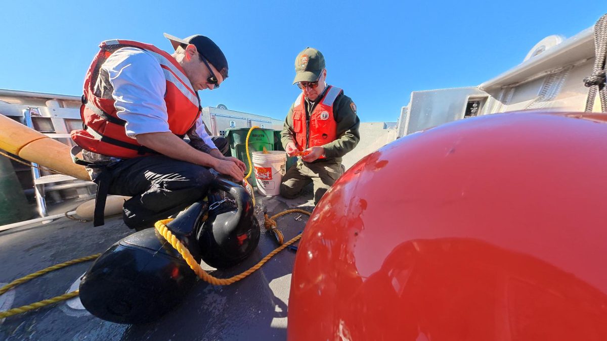 Josh Anderson works on disconnecting the anchor weights from the anchor line - Jon Okerstrom photo