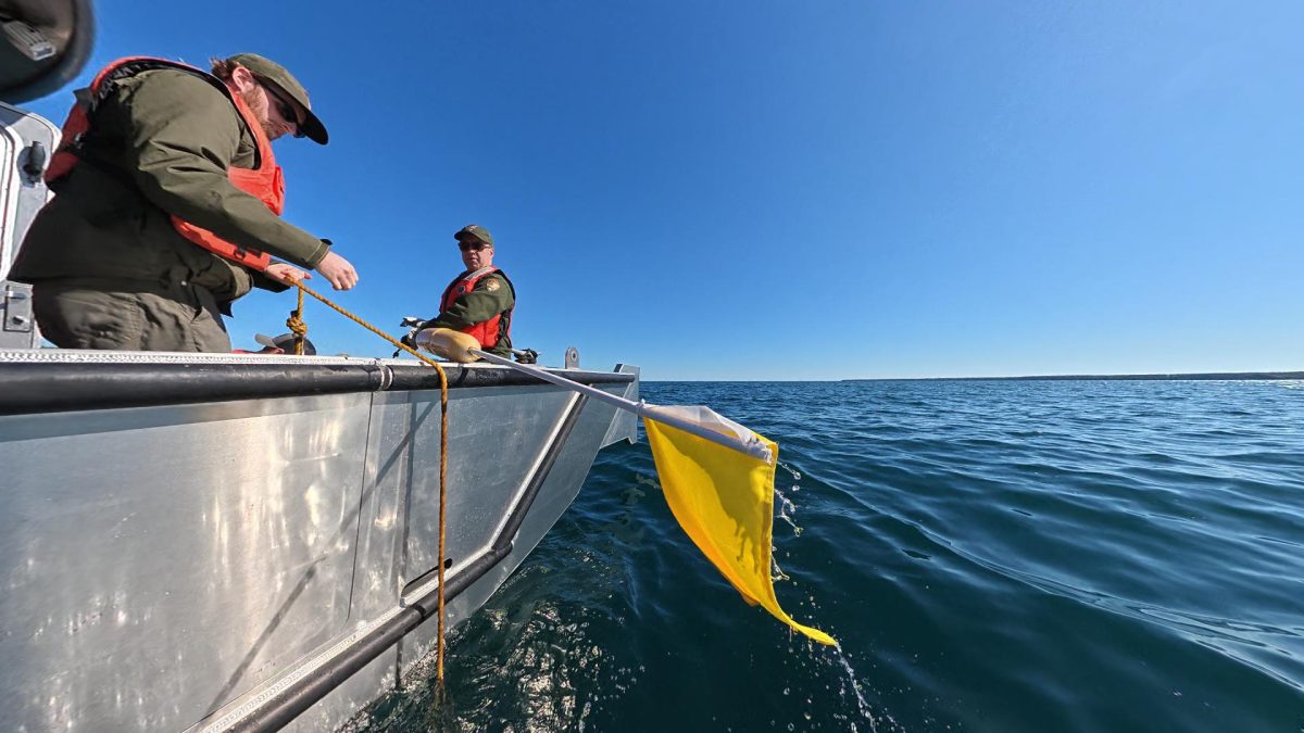 Max Zeitler brings one of the yellow flags on board - Jon Okerstrom photo